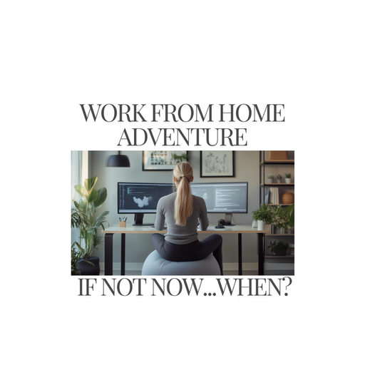 Work from Home Image Yoga Ball home office