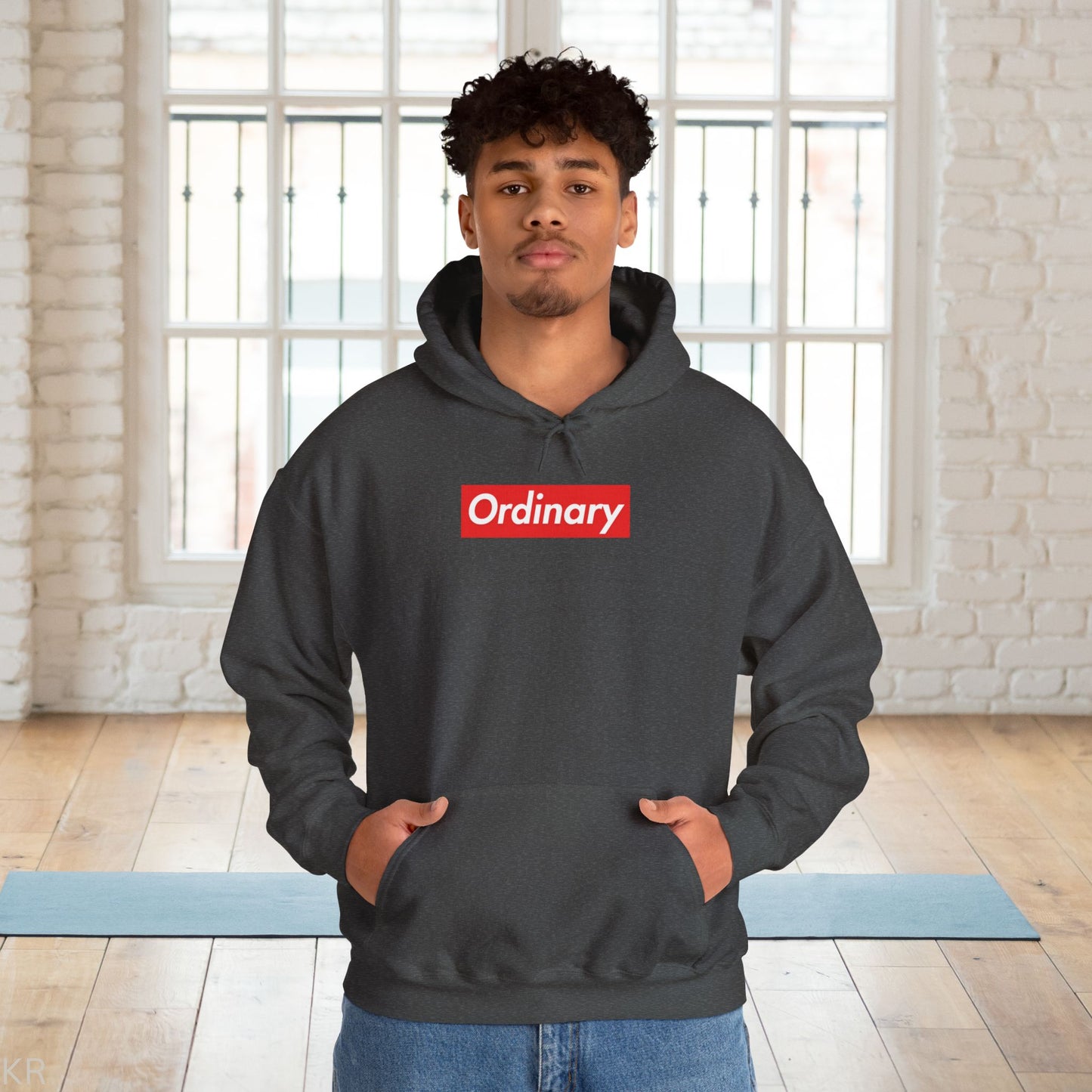 Fun with Words ORDINARY Hoodie