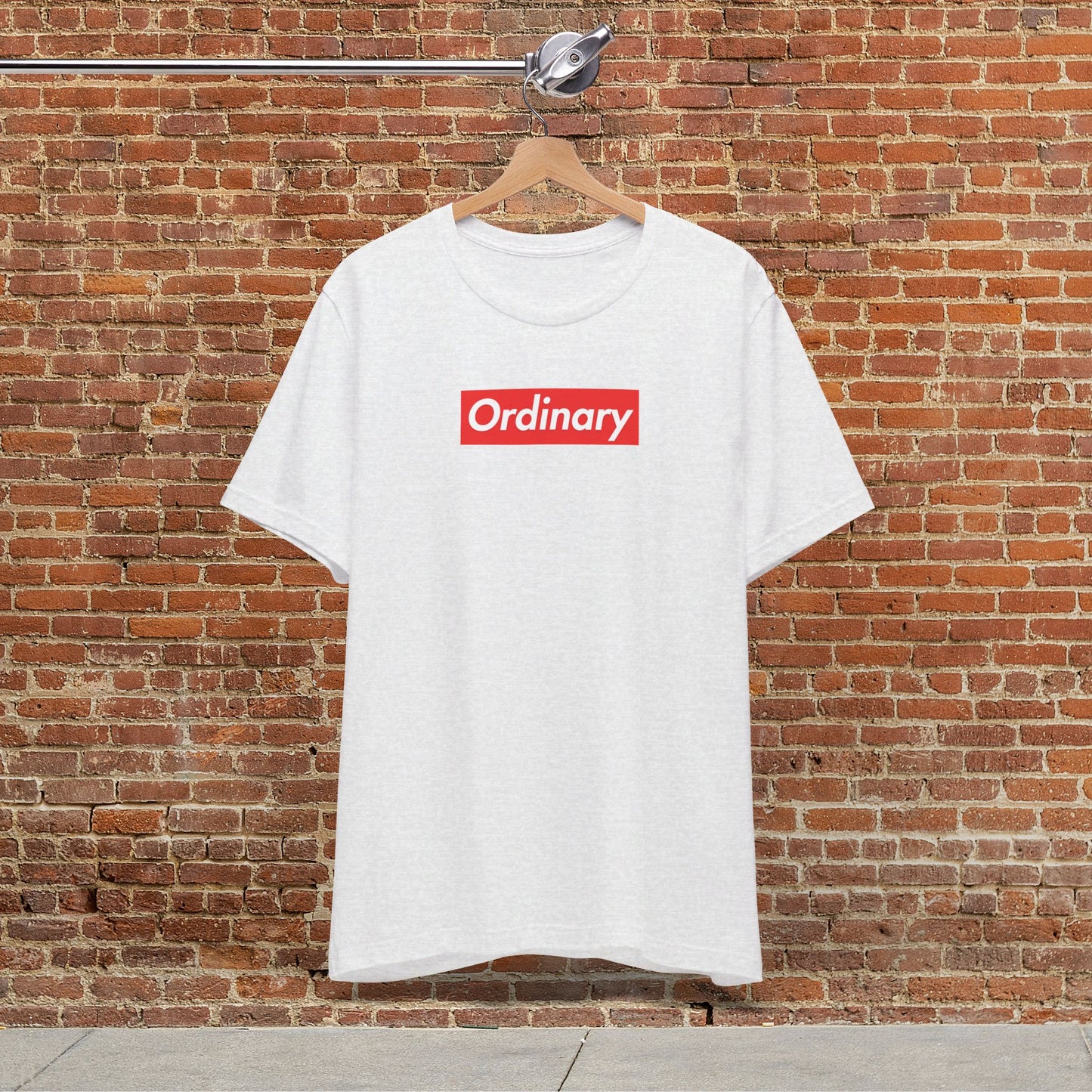 Fun With Words - Ordinary T-shirt