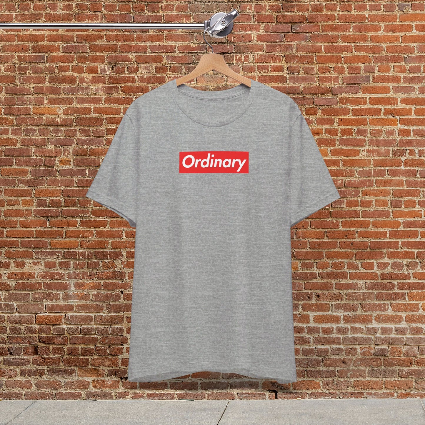 Fun With Words - Ordinary T-shirt