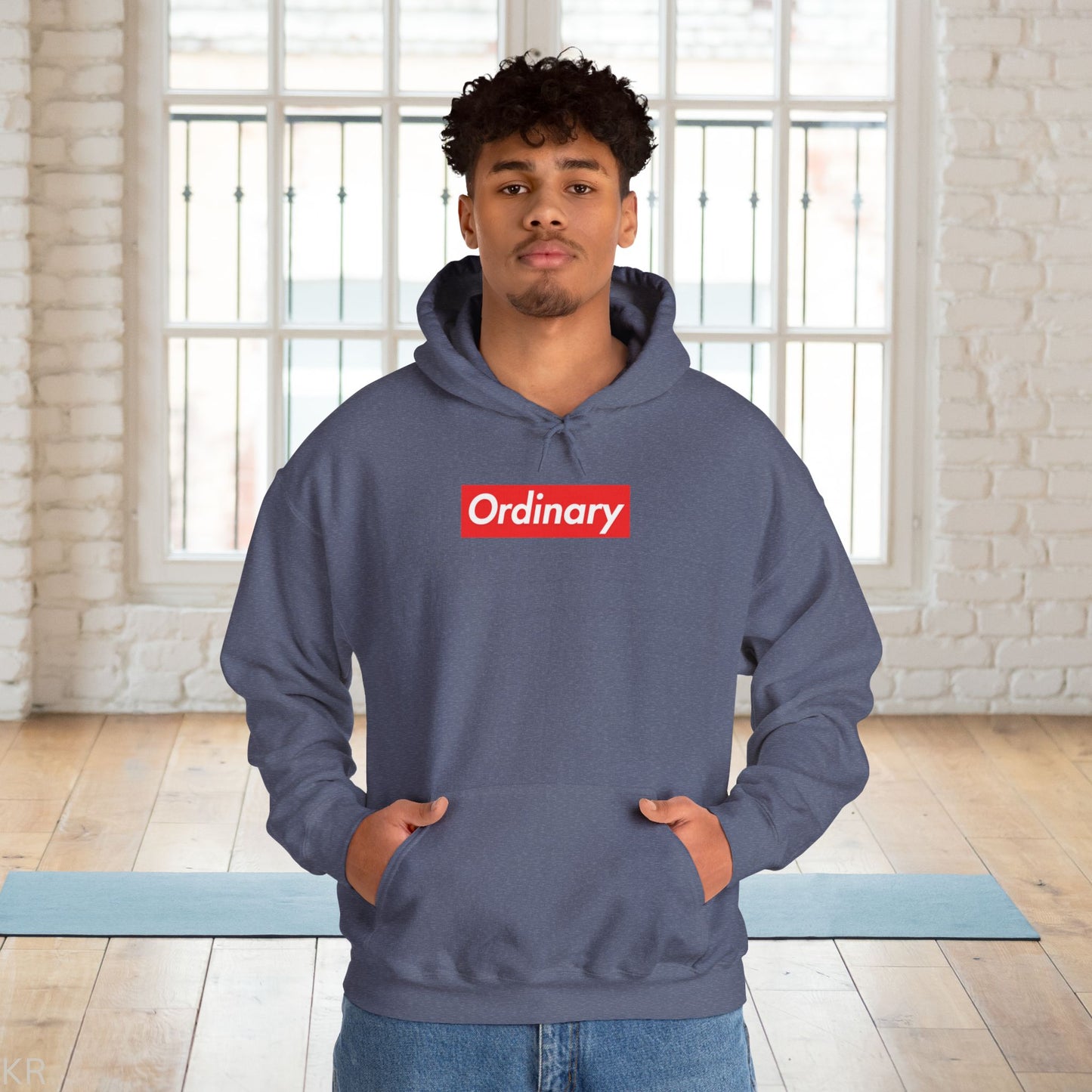 Fun with Words ORDINARY Hoodie