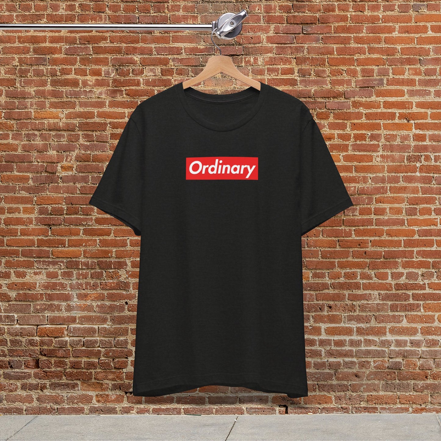 Fun With Words - Ordinary T-shirt