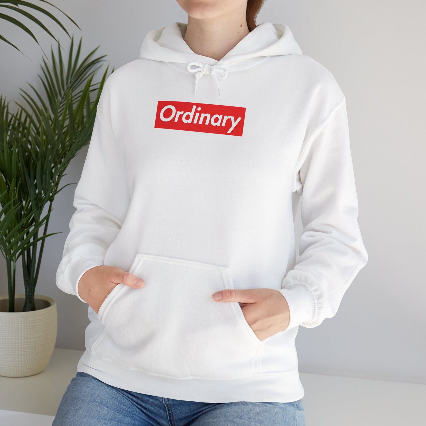 Fun with Words ORDINARY Hoodie