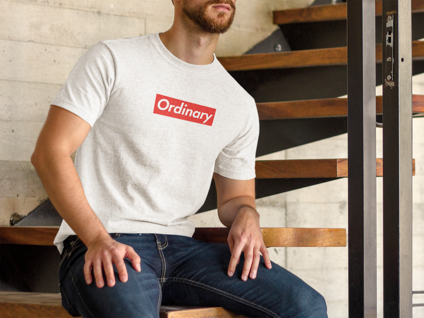 Fun With Words - Ordinary T-shirt